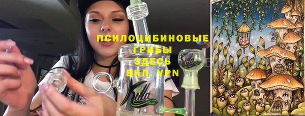 2c-b Алексеевка