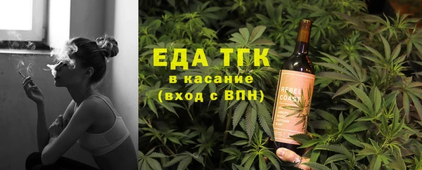 СК Алексин