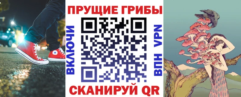 кракен ссылки  Кола  Псилоцибиновые грибы Magic Shrooms  как найти наркотики 